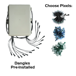 Pixie16 Controller Package with Pixels - 16x100