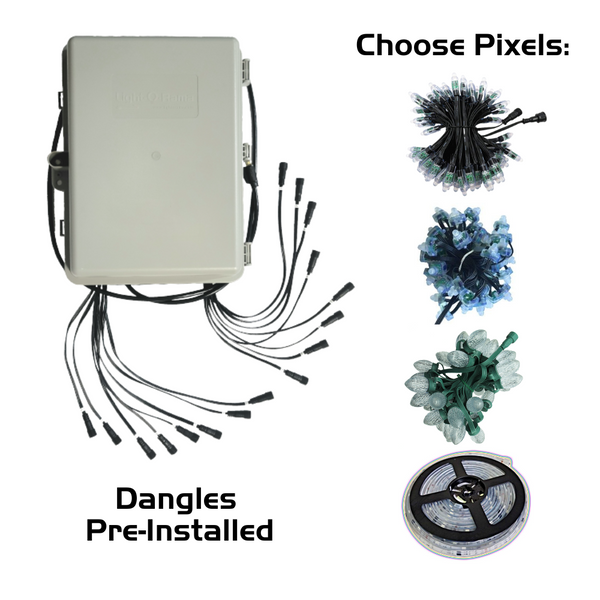 Pixie16 Controller Package with Pixels - 16x50