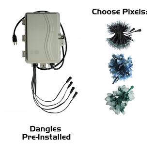 Pixie4 Controller Package with Pixels - 4x100