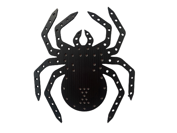 Coro Halloween Spider