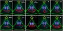 Singing RGB Christmas Tree - Felix-2