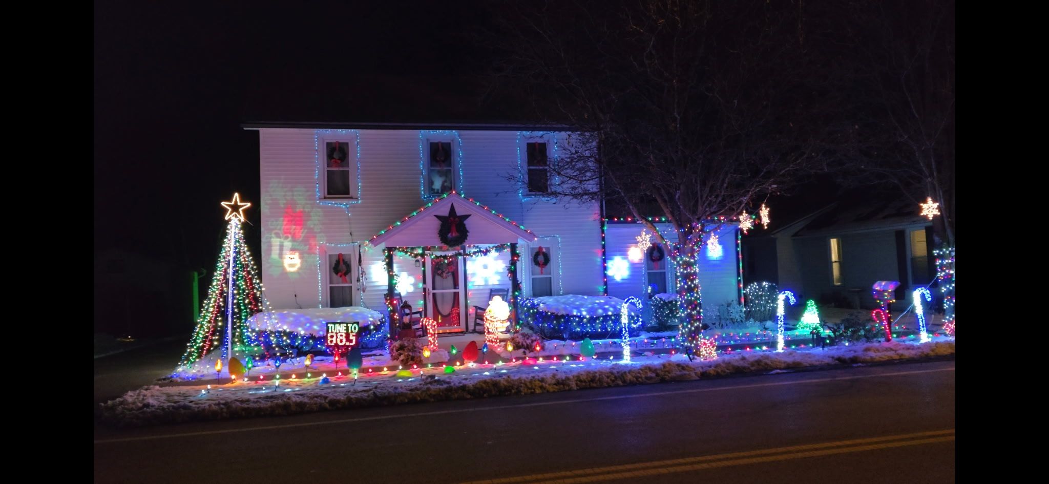 Flower festival of lights