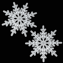 CPC Package - 2 Crystal Snowflakes (Pixel Bright)-1