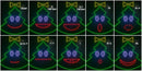 Singing RGB Christmas Tree - Zuzu-2