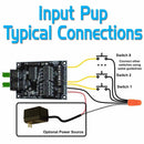 Input Pup-2